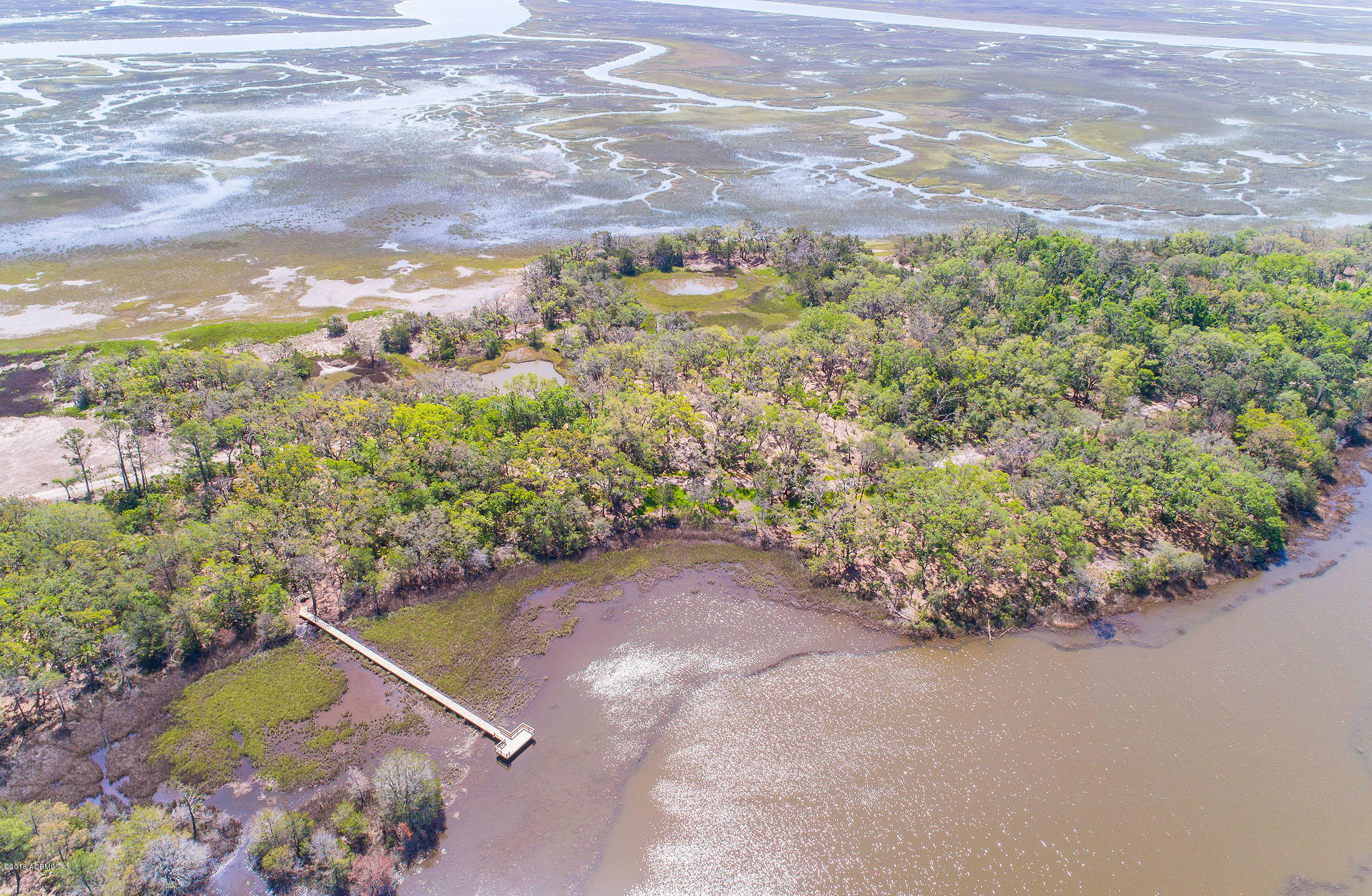 271 Toomer Road St. Helena Island, SC 29920 - Photo 1 of 39 DJI_0136-1