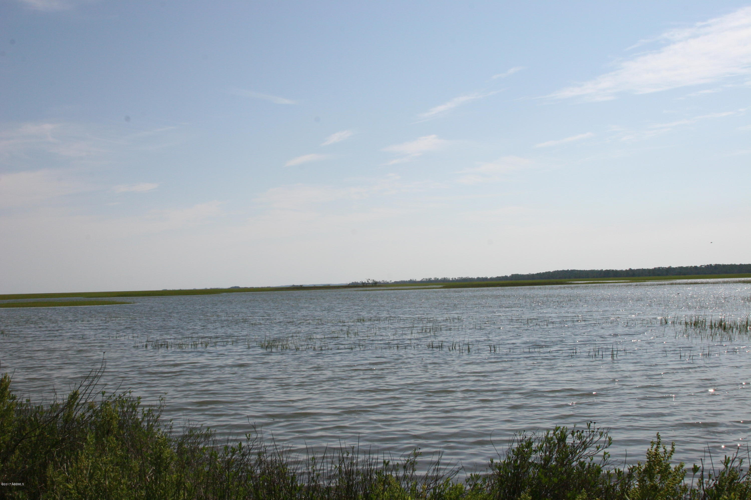 271 Toomer Road St. Helena Island, SC 29920 - Photo 11 of 39 IMG_7585