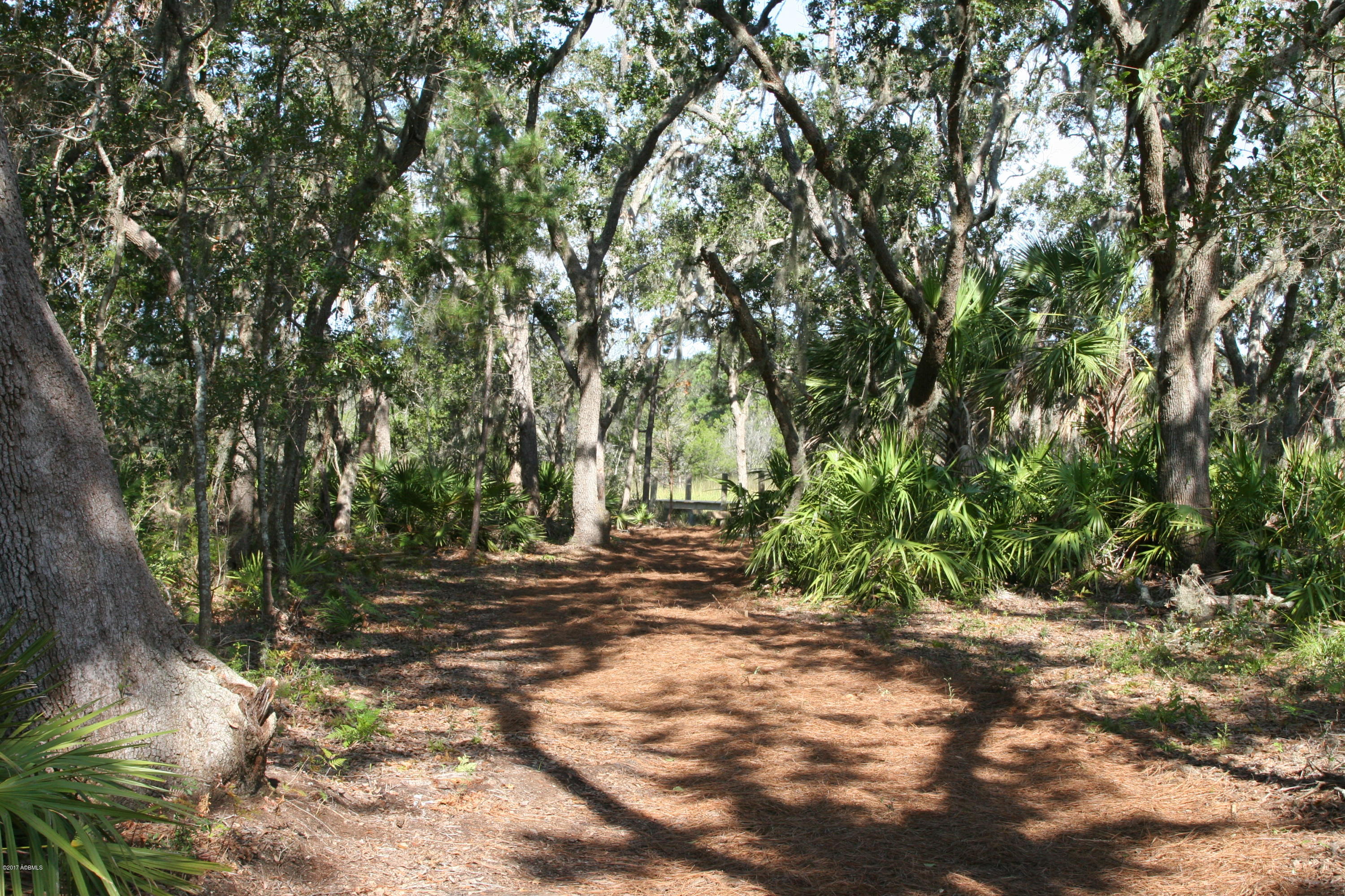 271 Toomer Road St. Helena Island, SC 29920 - Photo 13 of 39 IMG_7589