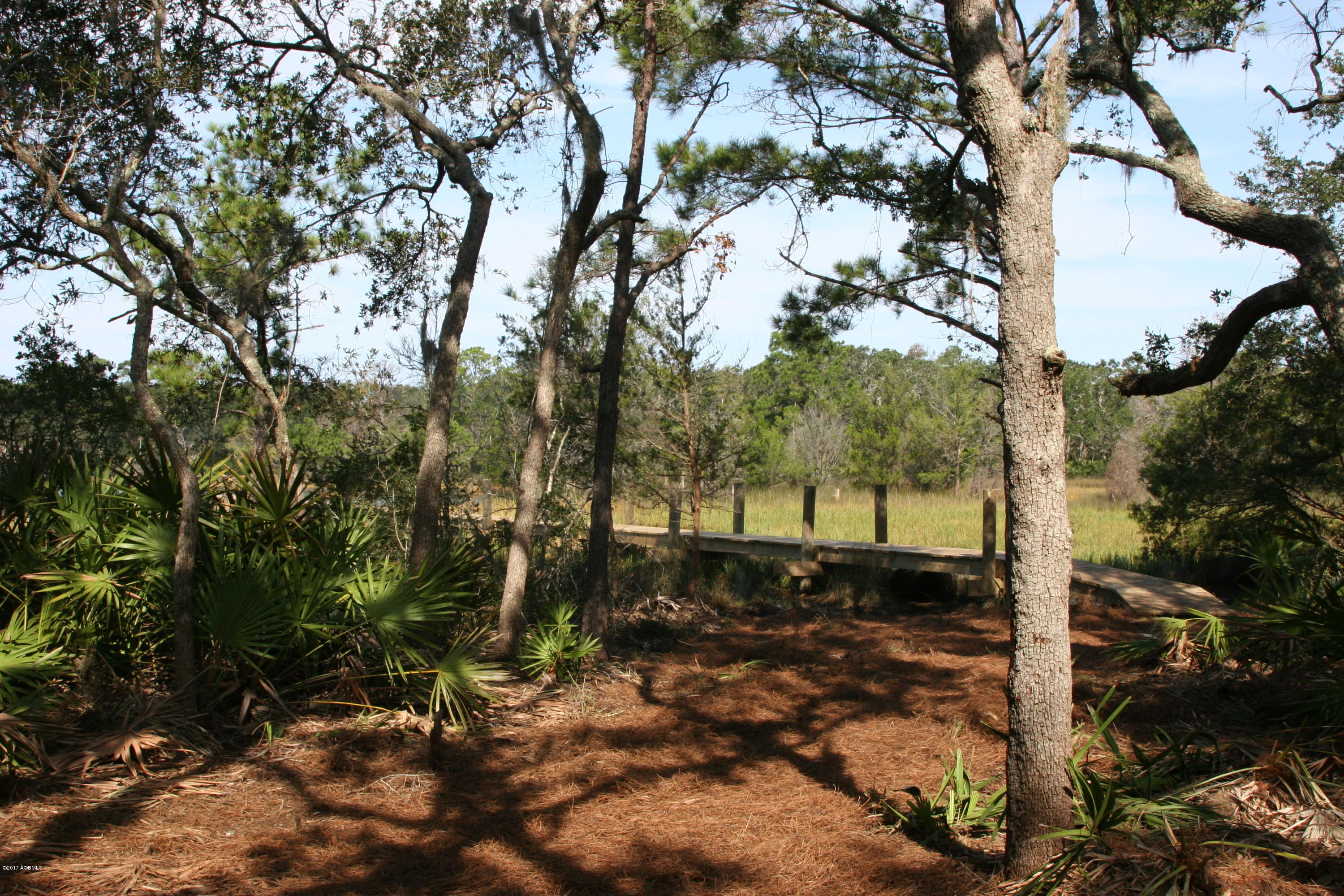 271 Toomer Road St. Helena Island, SC 29920 - Photo 14 of 39 IMG_7590