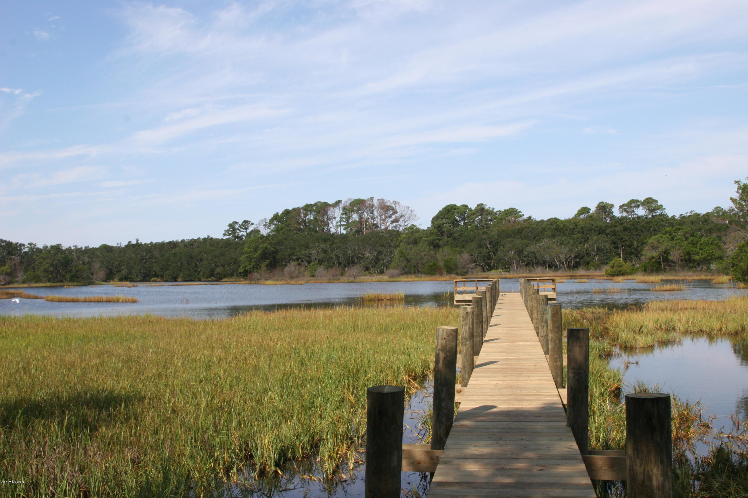 271 Toomer Road St. Helena Island, SC 29920 - Photo 15 of 39 IMG_7592