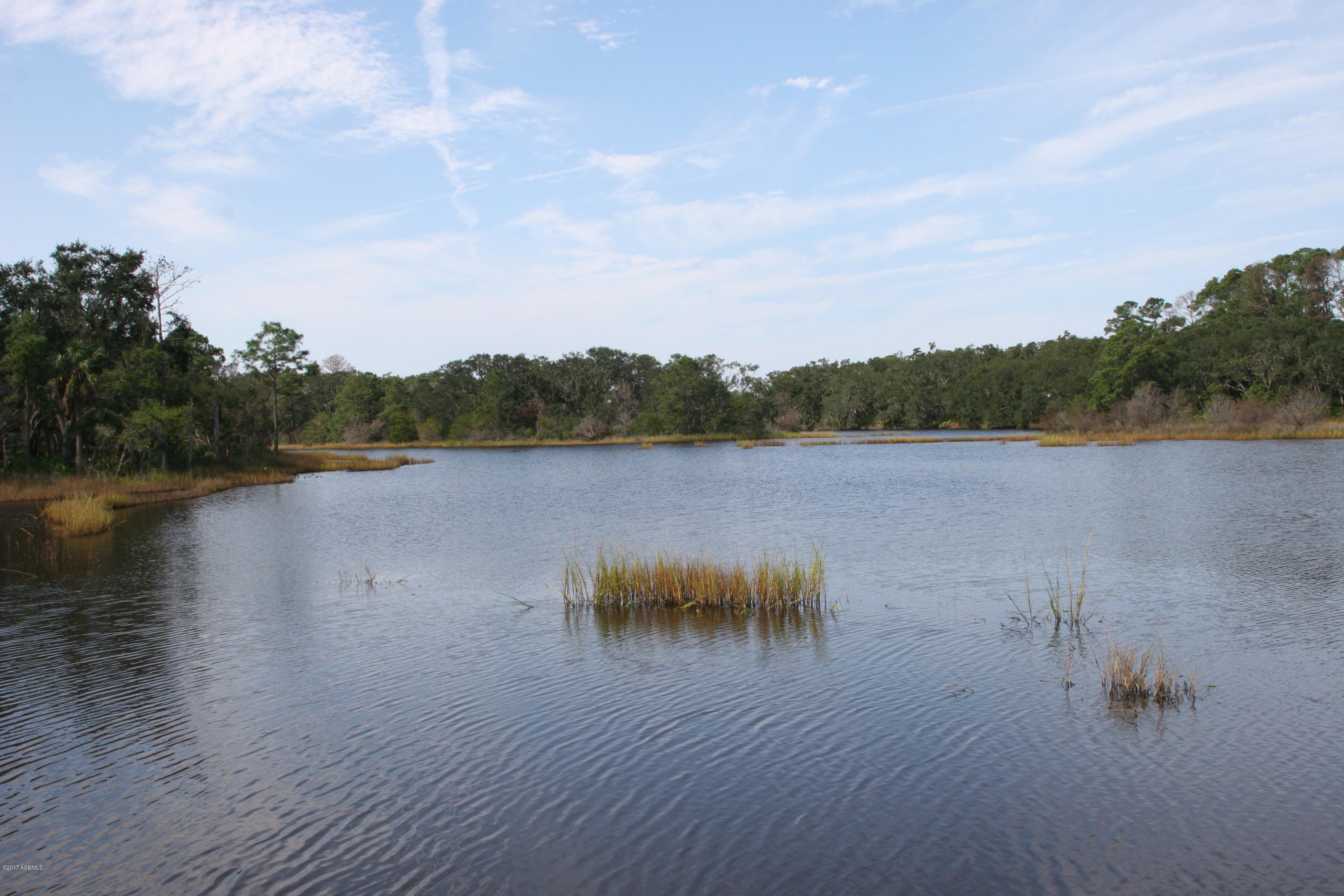 271 Toomer Road St. Helena Island, SC 29920 - Photo 17 of 39 IMG_7594