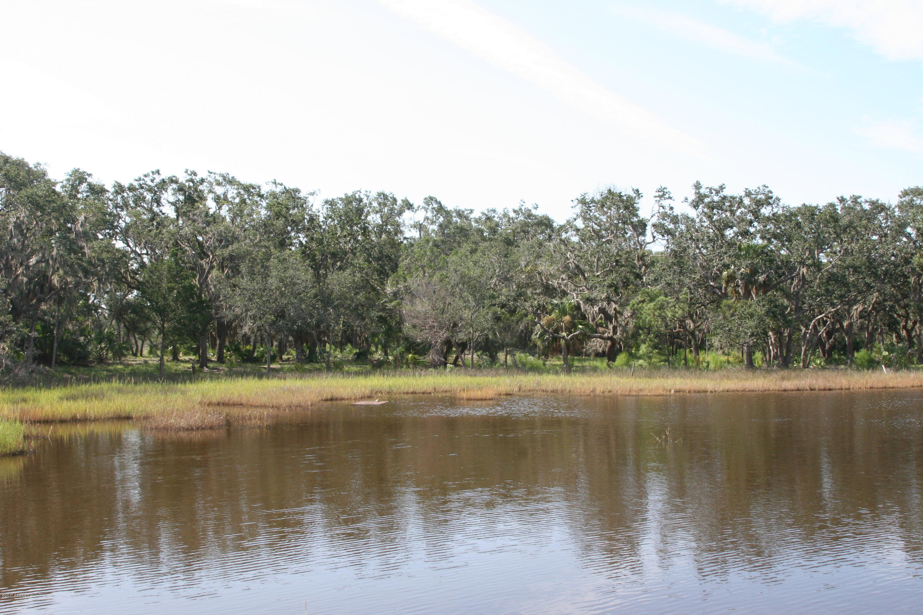 271 Toomer Road St. Helena Island, SC 29920 - Photo 20 of 39 IMG_7597