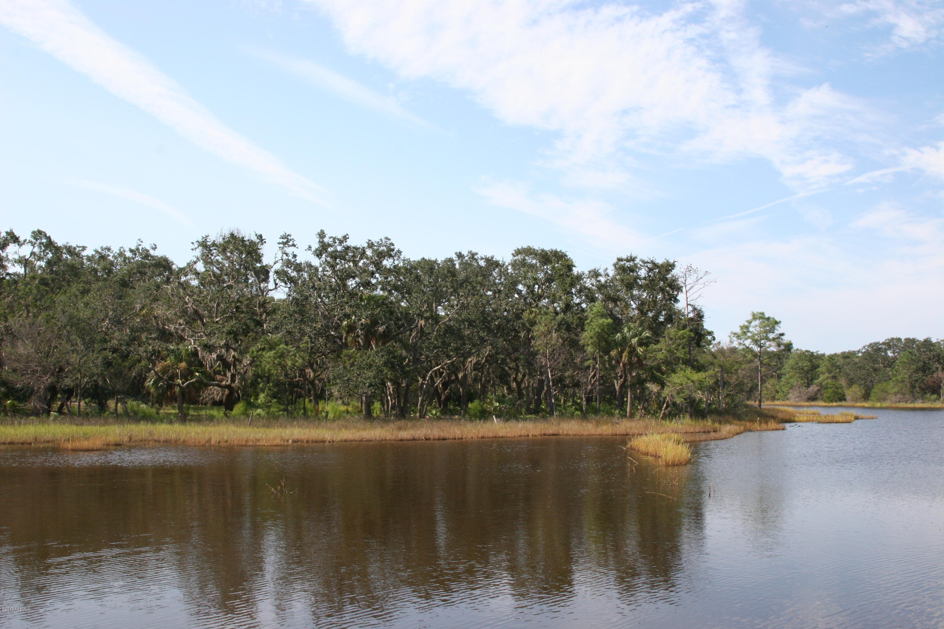 271 Toomer Road St. Helena Island, SC 29920 - Photo 21 of 39 IMG_7598