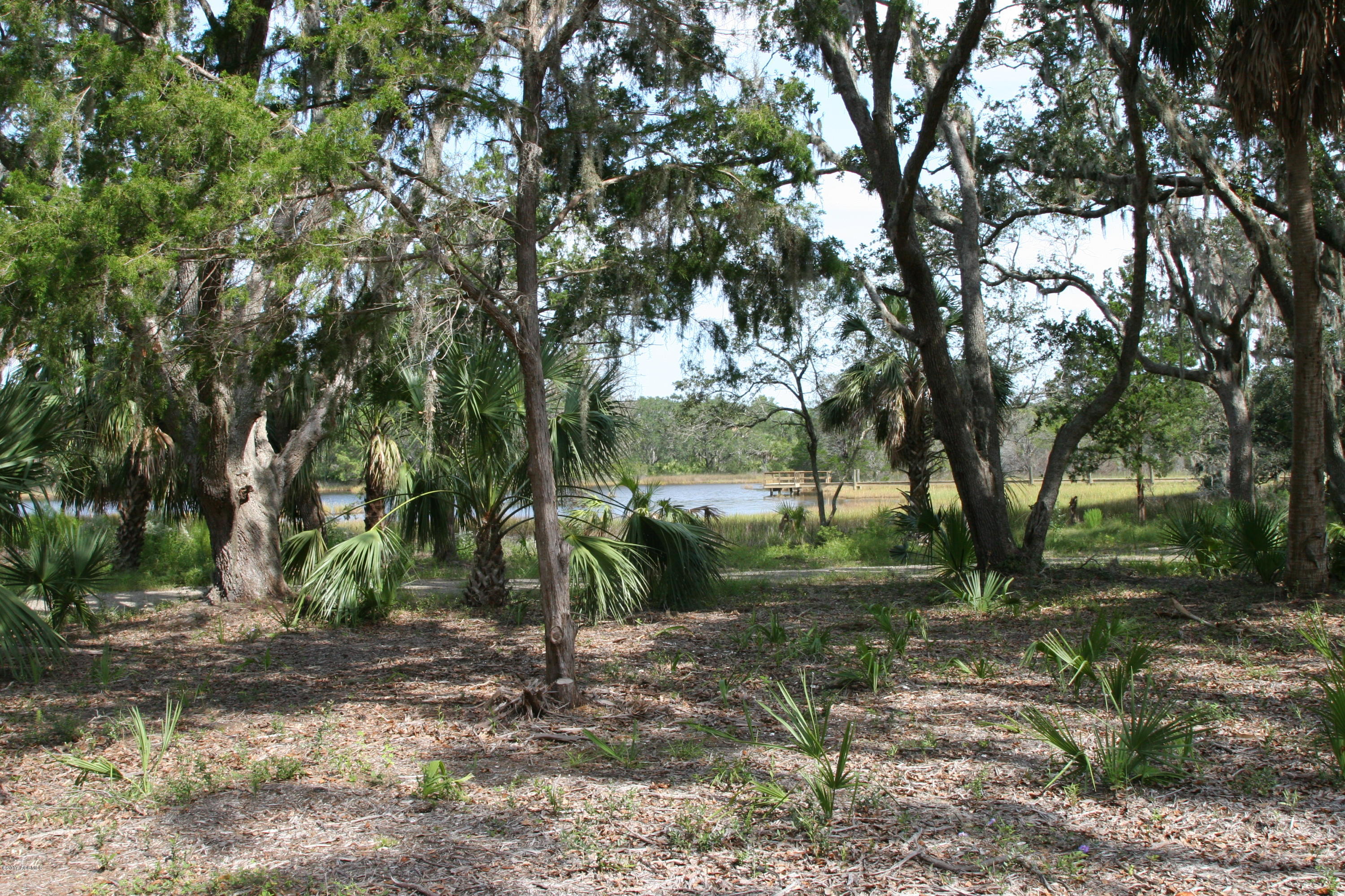 271 Toomer Road St. Helena Island, SC 29920 - Photo 26 of 39 IMG_7605