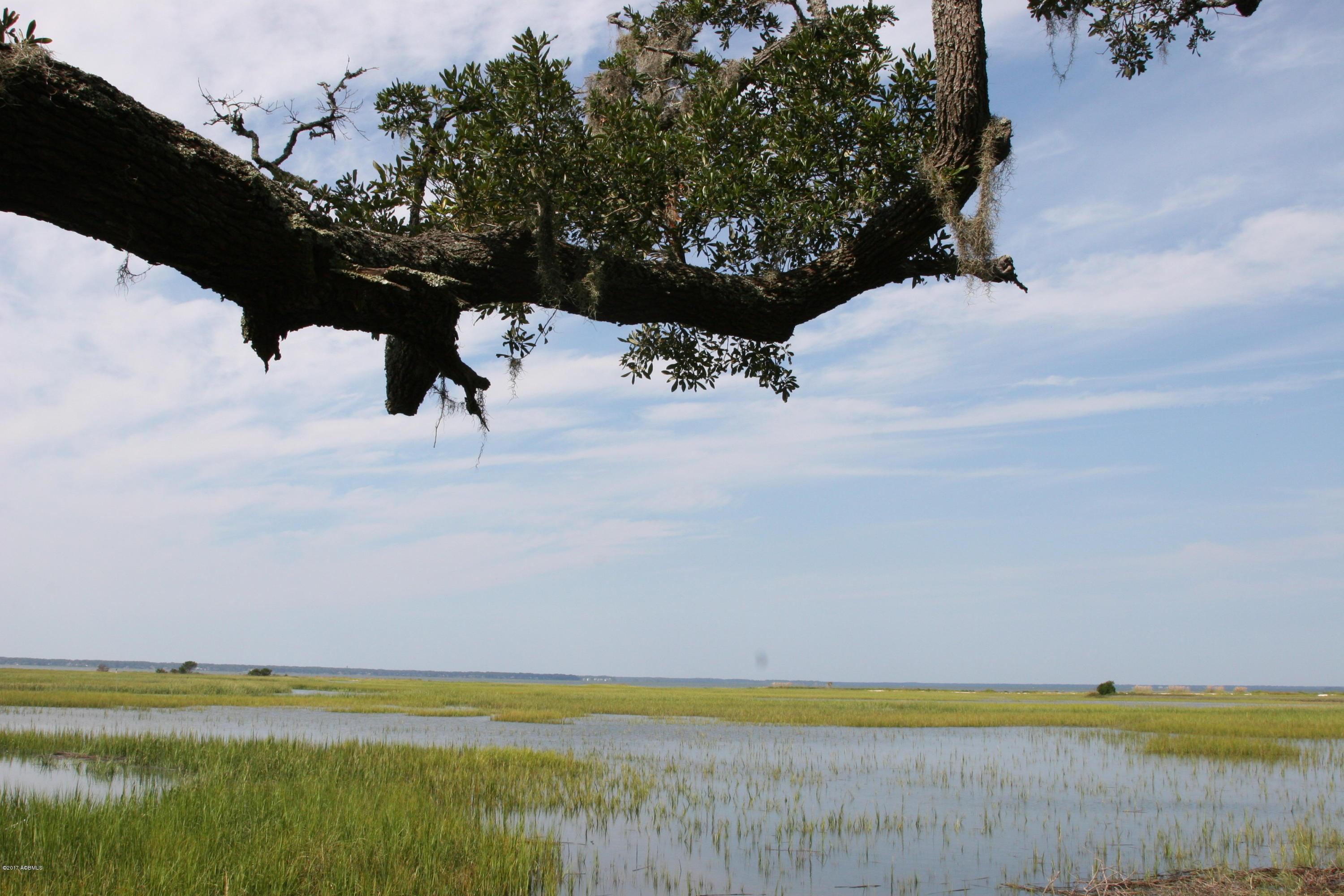 271 Toomer Road St. Helena Island, SC 29920 - Photo 29 of 39 IMG_7613