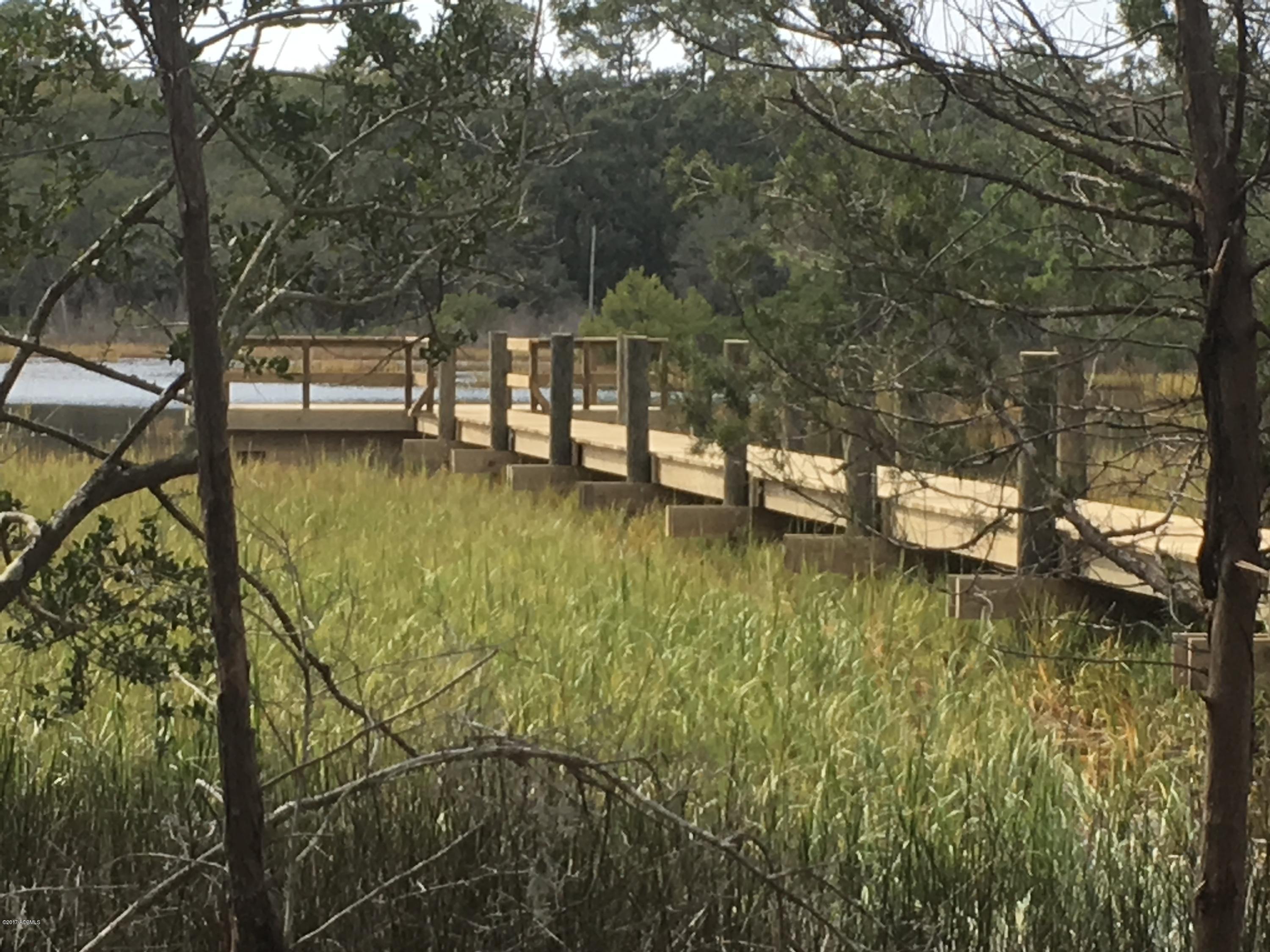 271 Toomer Road St. Helena Island, SC 29920 - Photo 10 of 39 IMG_0259