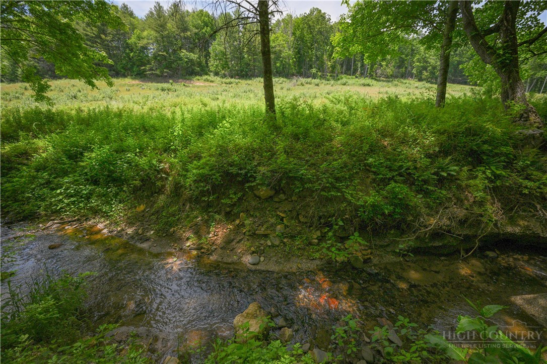 Lot 2 Gusher Knob Road Newland, NC 28657 - Photo 15 of 17