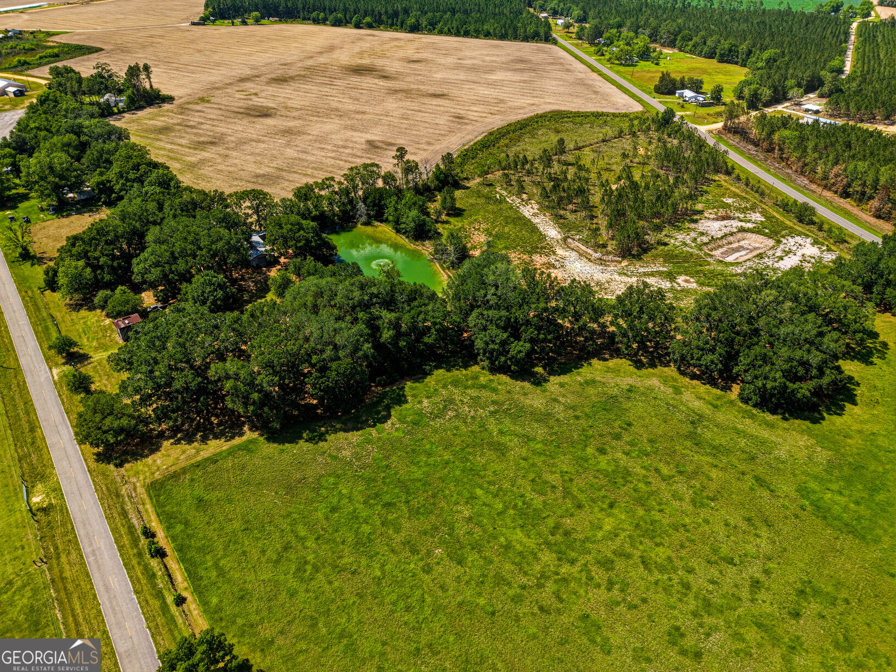 0 Ritch Church Road Screven, GA 31560 - Photo 11 of 43