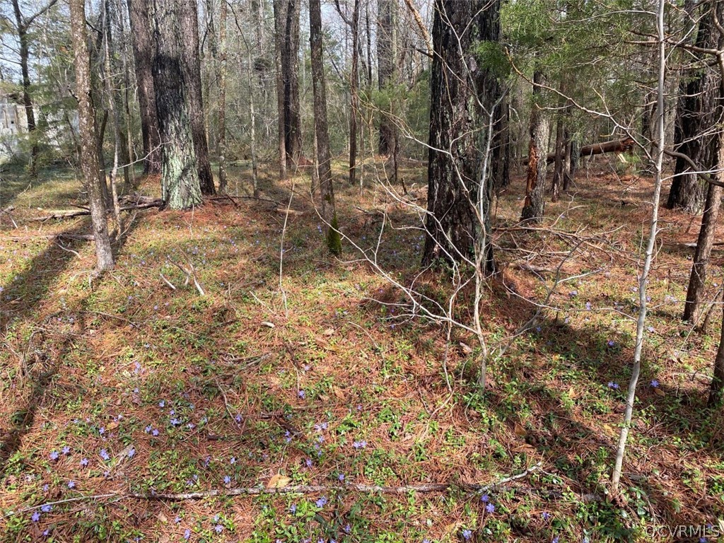 415 Colnbrook Road Laneview, VA 22504 - Photo 2 of 3 Gallery Image 2