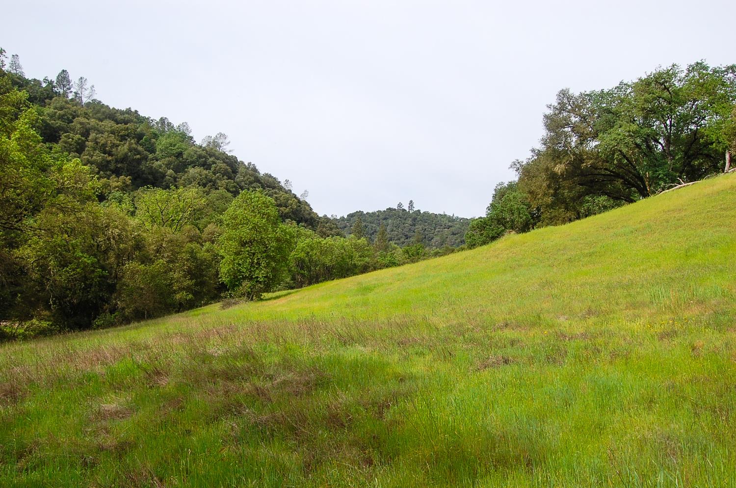 71 Hawver Road San Andreas, CA 95249 - Photo 93 of 96