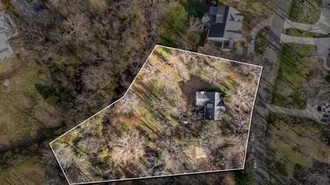 a view of a wooden wall with a tree
