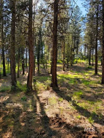 $107,000 | Lot 13 Lewis Drive, New Meadows, ID 83654
