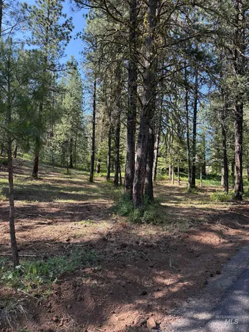 $107,000 | Lot 13 Lewis Drive, New Meadows, ID 83654
