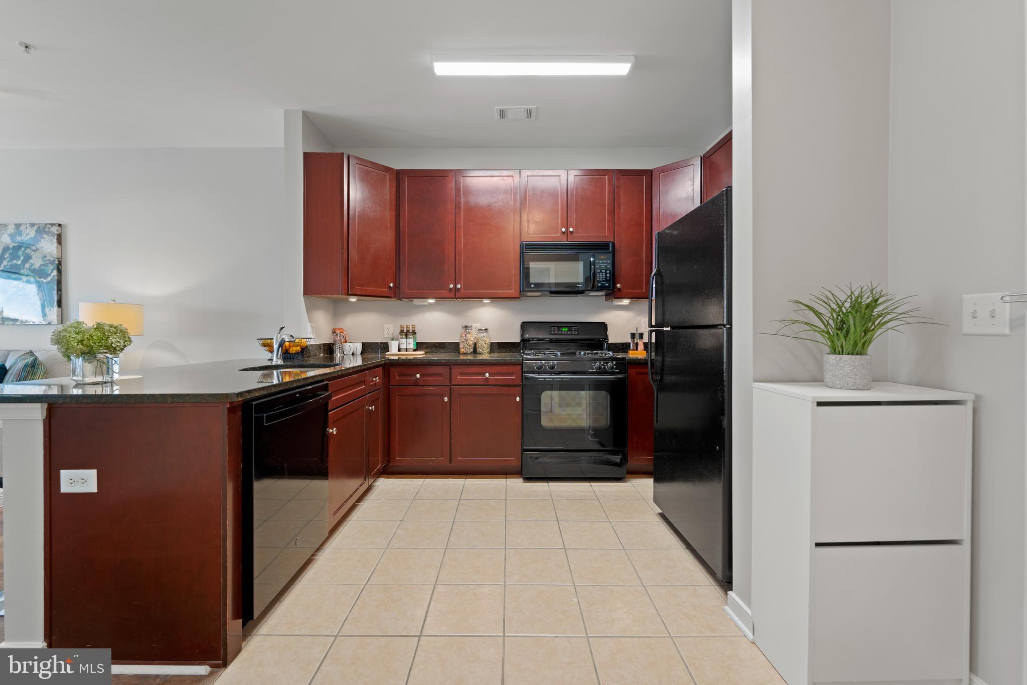 8045 Newell Street, Unit 221 Silver Spring, MD 20910 - Photo 5 of 23 Gallery Image 5