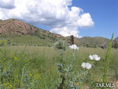 1 Lot On Stronghold & Palm Road Cochise, AZ 85606 - Photo 8 of 8
