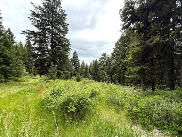$157,000 | 0 Pontiac Ridge Road, Oroville, WA 98844