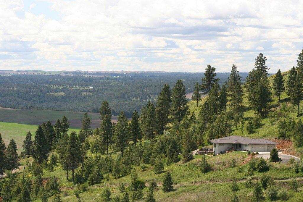 10220 South Kiesling Road Spokane, WA 99223 - Photo 1 of 20