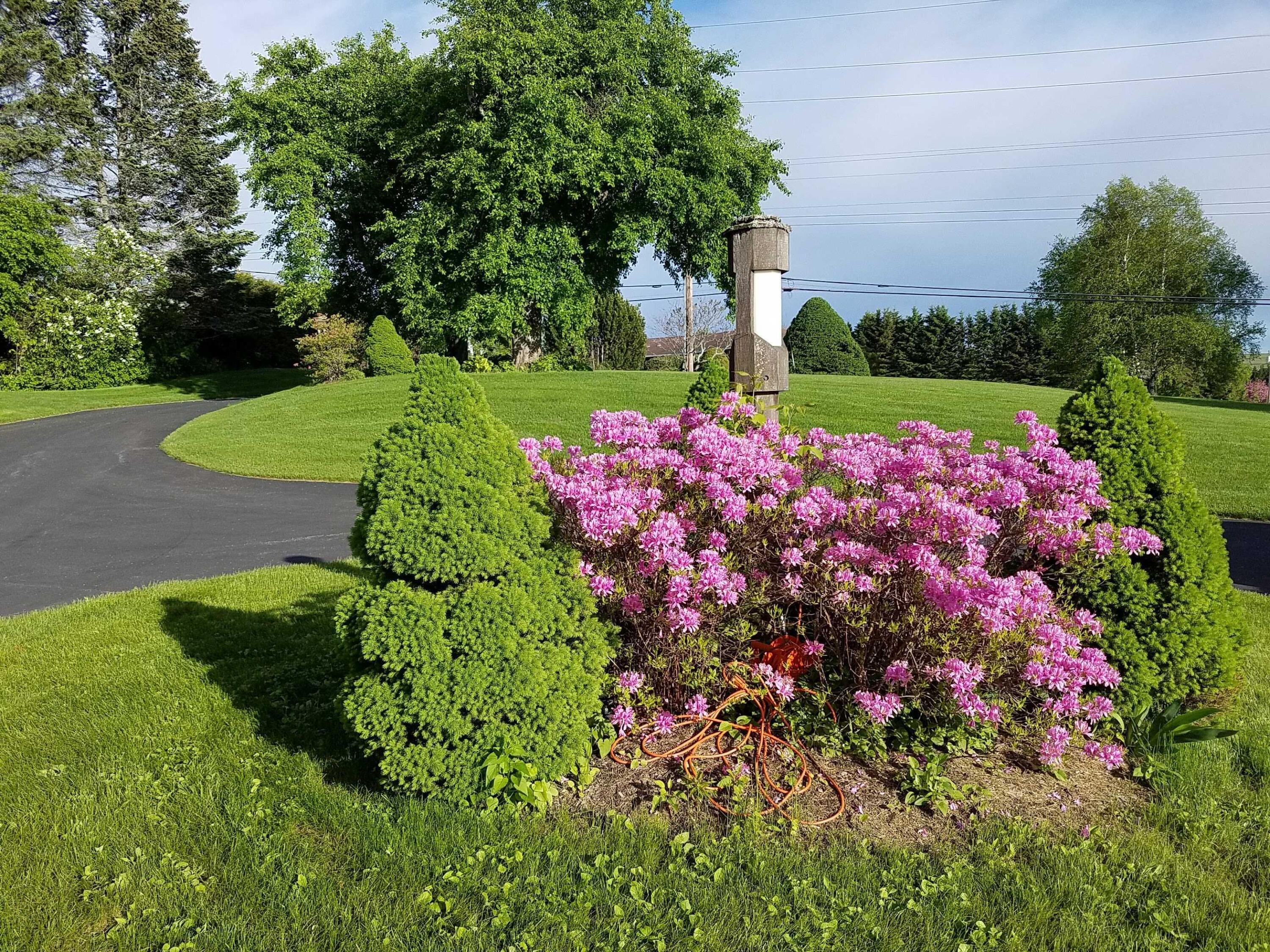 309 State Street Presque Isle, ME 04769 - Photo 43 of 44 309 State Street4