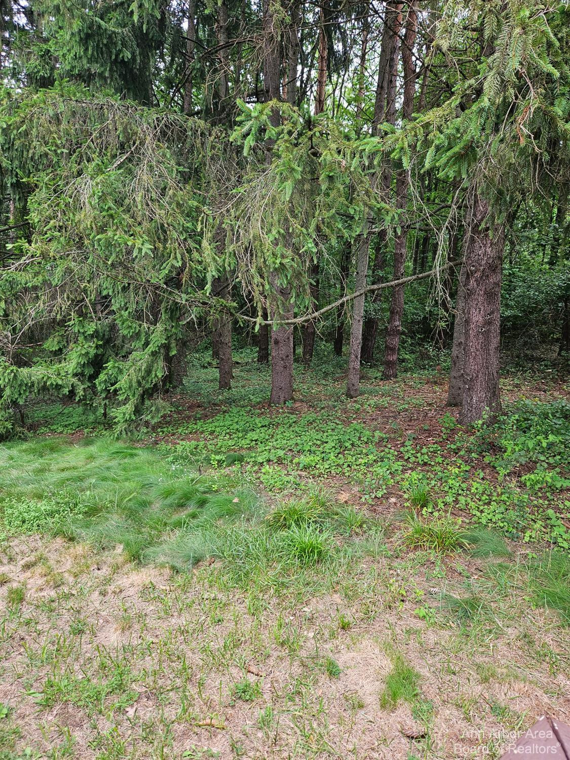 16200 Lowery Road Chelsea, MI 48118 - Photo 29 of 35 Photo 29