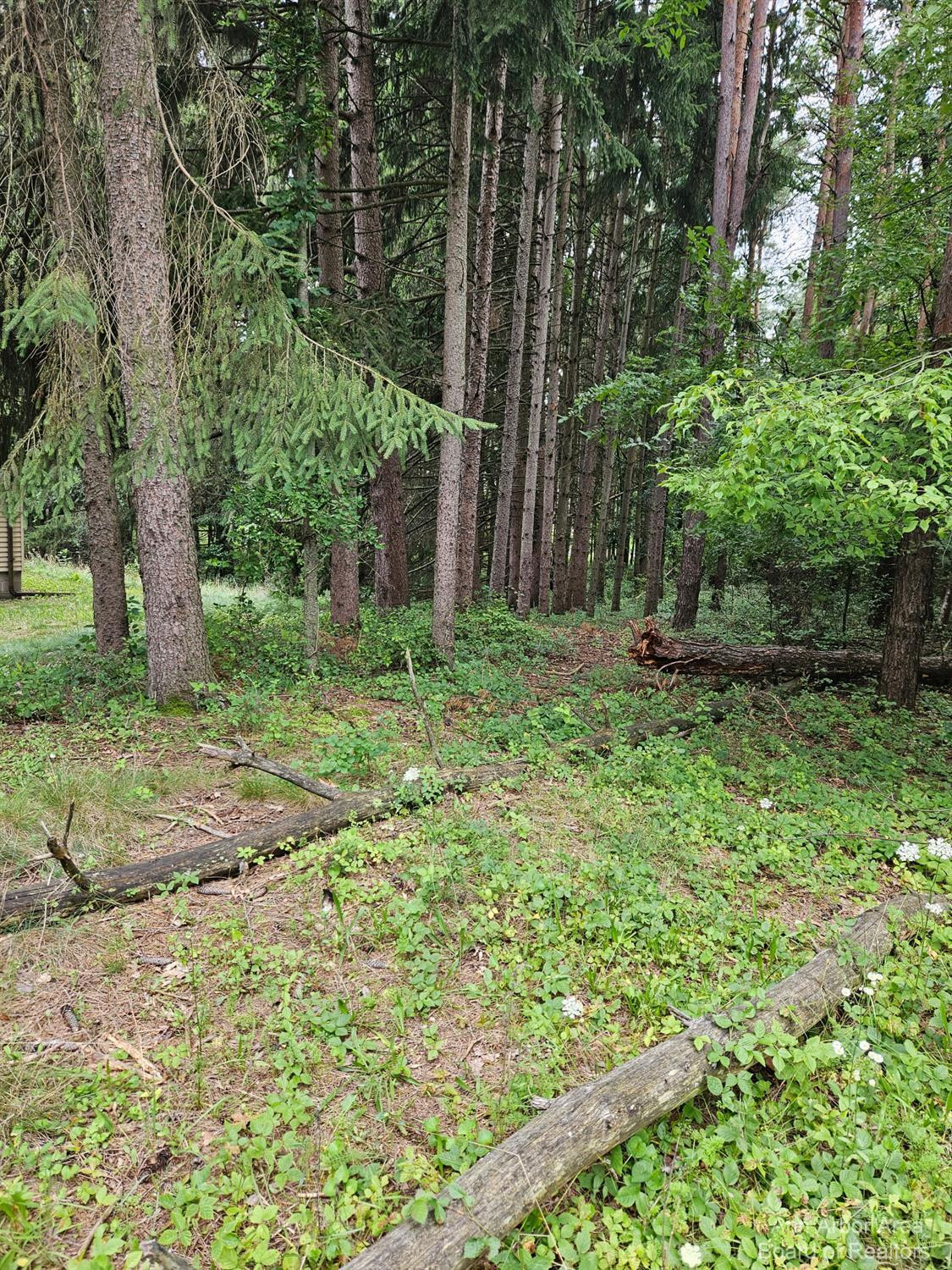 16200 Lowery Road Chelsea, MI 48118 - Photo 32 of 35 Photo 32