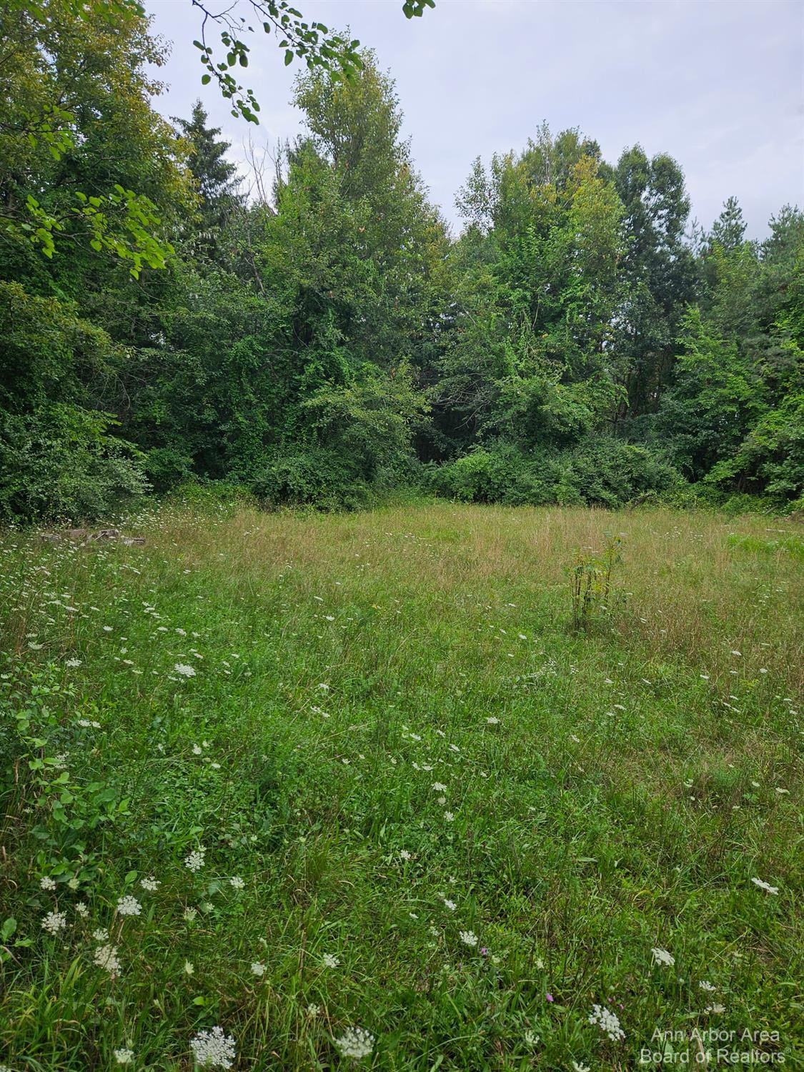 16200 Lowery Road Chelsea, MI 48118 - Photo 33 of 35 Photo 33
