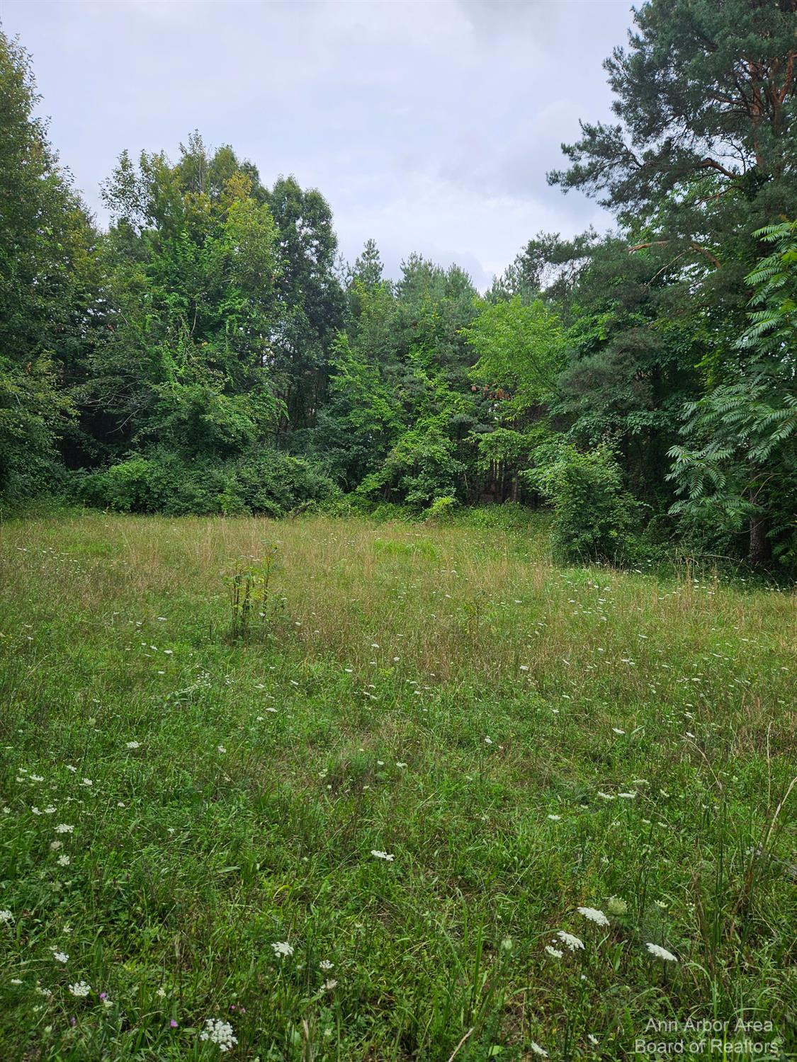 16200 Lowery Road Chelsea, MI 48118 - Photo 34 of 35 Photo 34