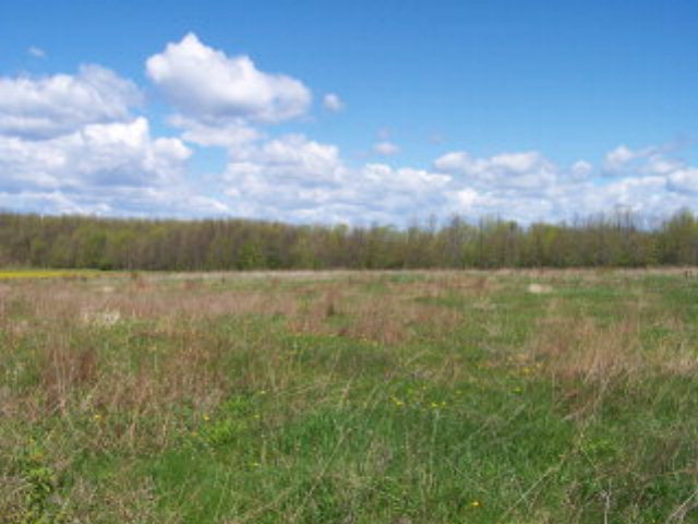 Lot 1 Bayshore Road Green Bay, WI 54311 - Photo 1 of 1 Main View
