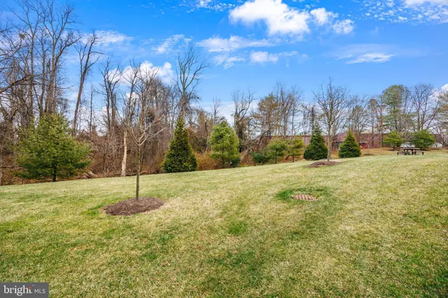a view of a yard with a tree