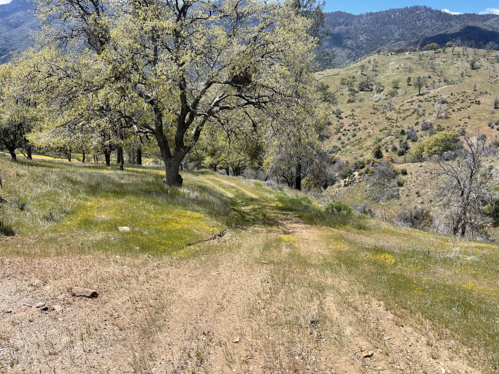 11800 Caliente Bodfish Road Caliente, CA 93518 - Photo 25 of 29