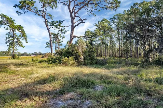 $175,000 | 38514 Wooded Meadow Drive, Umatilla, FL 32784