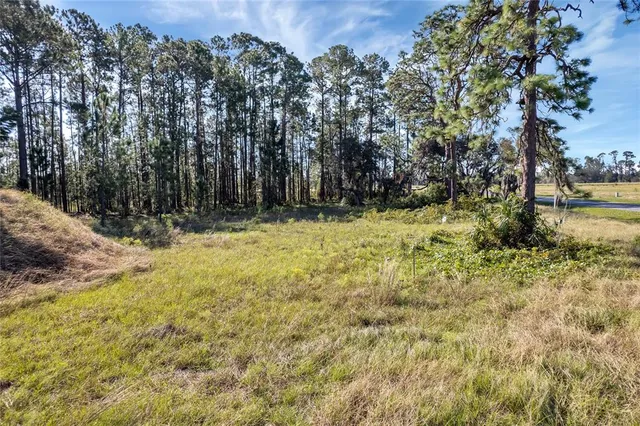 $175,000 | 38514 Wooded Meadow Drive, Umatilla, FL 32784