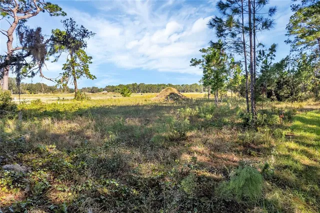 $175,000 | 38514 Wooded Meadow Drive, Umatilla, FL 32784