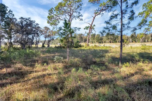 $175,000 | 38514 Wooded Meadow Drive, Umatilla, FL 32784