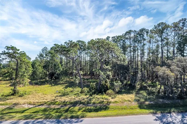 $175,000 | 38514 Wooded Meadow Drive, Umatilla, FL 32784