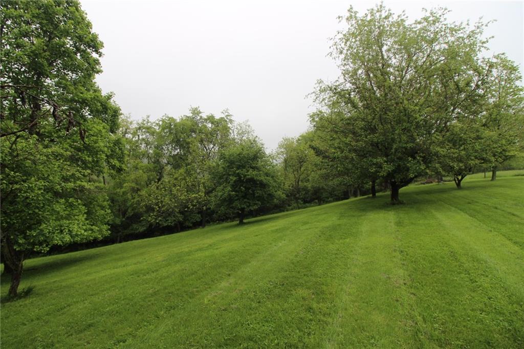 550 Highland Ridge Road Marianna, PA 15345 - Photo 23 of 23 Large backyard.
