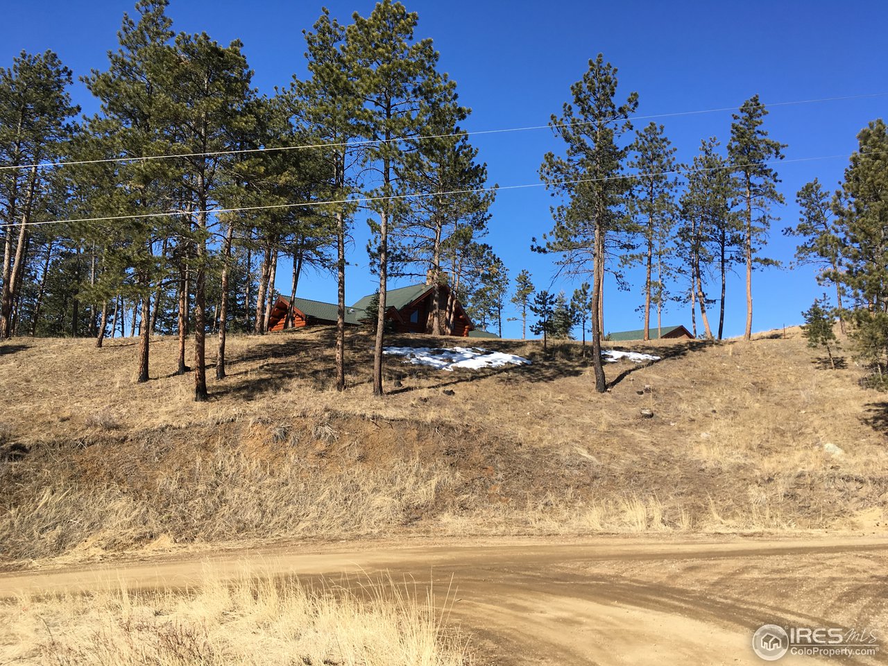 826 Davis Ranch Road Bellvue, CO 80512 - Photo 13 of 26 a view of a park with trees