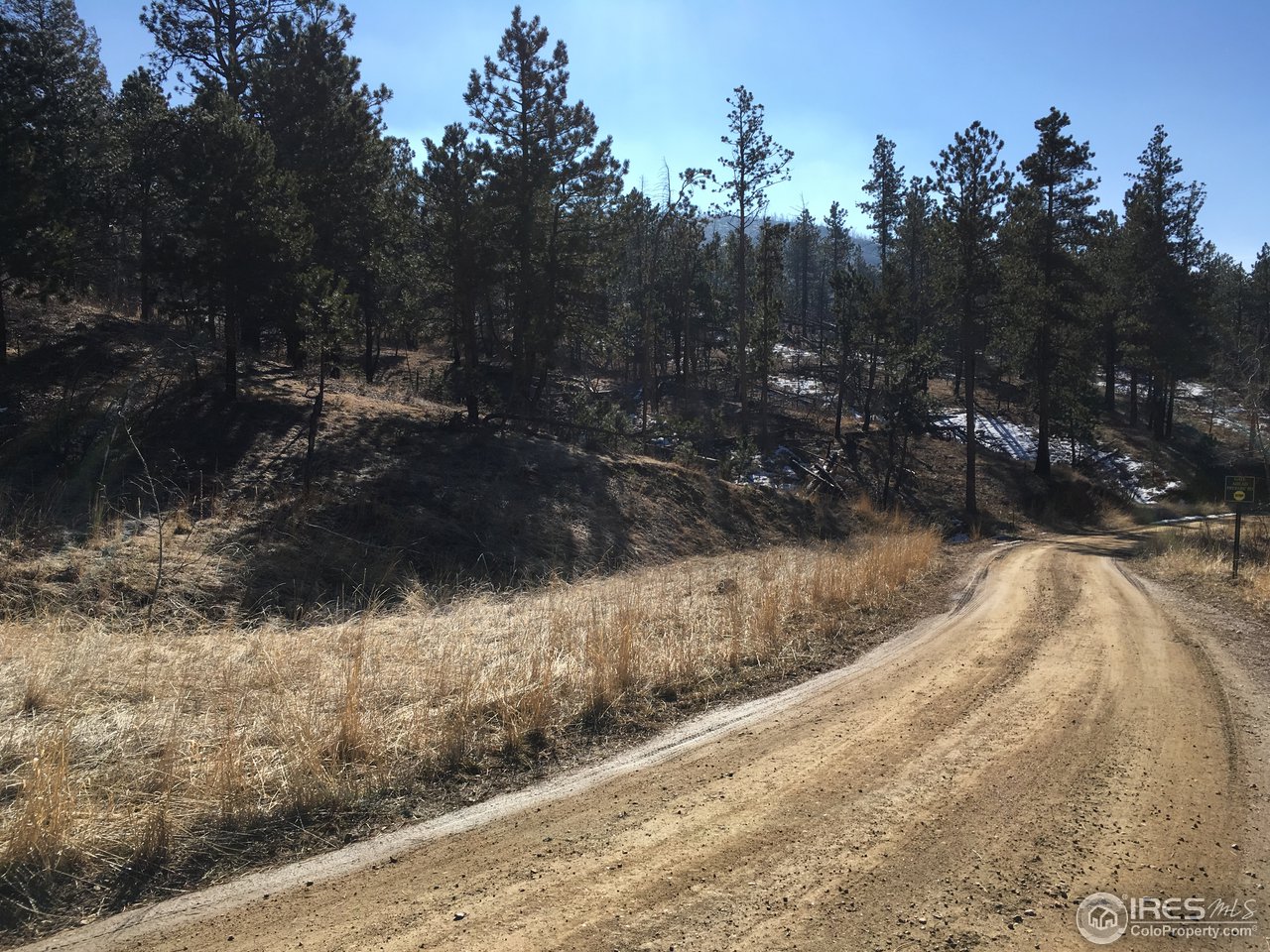 826 Davis Ranch Road Bellvue, CO 80512 - Photo 15 of 26 a view of outdoor space and yard