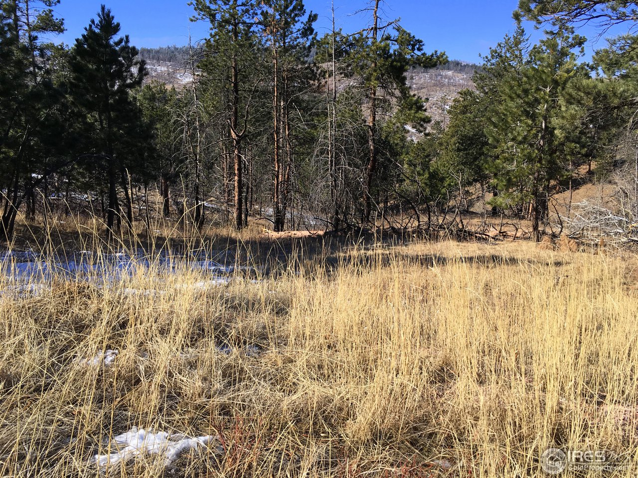 826 Davis Ranch Road Bellvue, CO 80512 - Photo 18 of 26 a view of a lake view