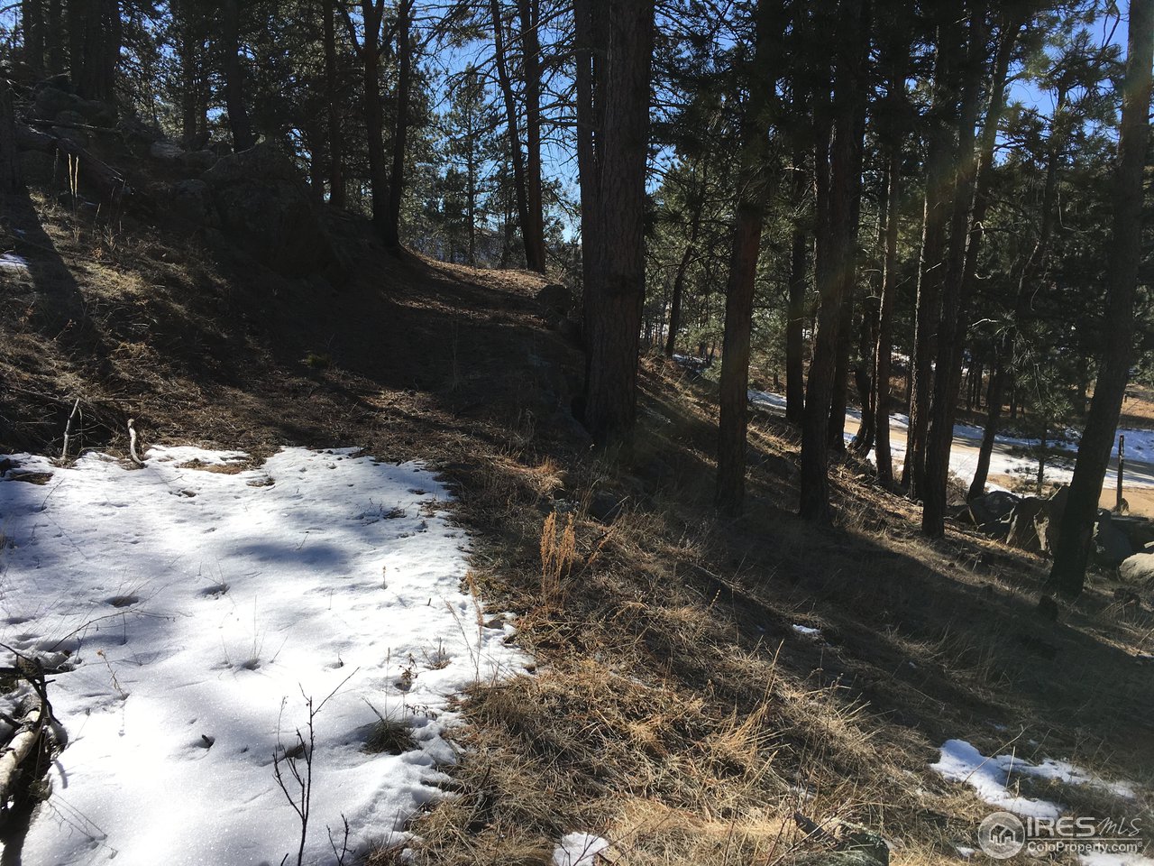 826 Davis Ranch Road Bellvue, CO 80512 - Photo 20 of 26