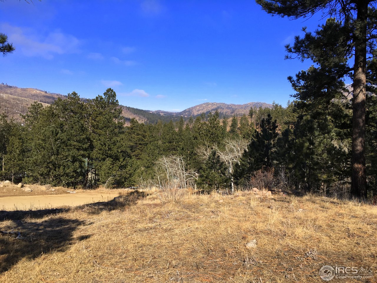 826 Davis Ranch Road Bellvue, CO 80512 - Photo 2 of 26 a view of a snow covered with snow in the background