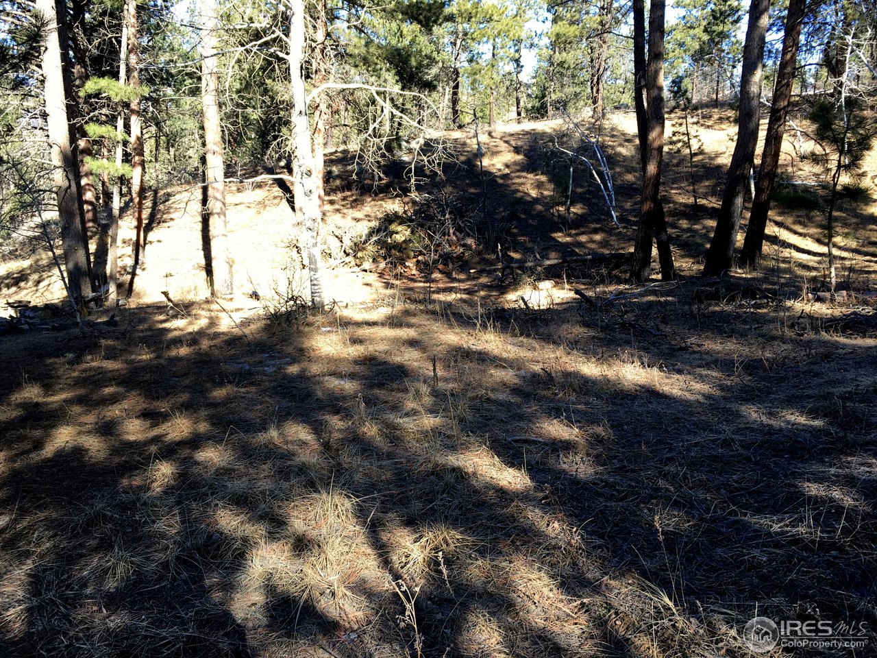 826 Davis Ranch Road Bellvue, CO 80512 - Photo 21 of 26 a view of yard