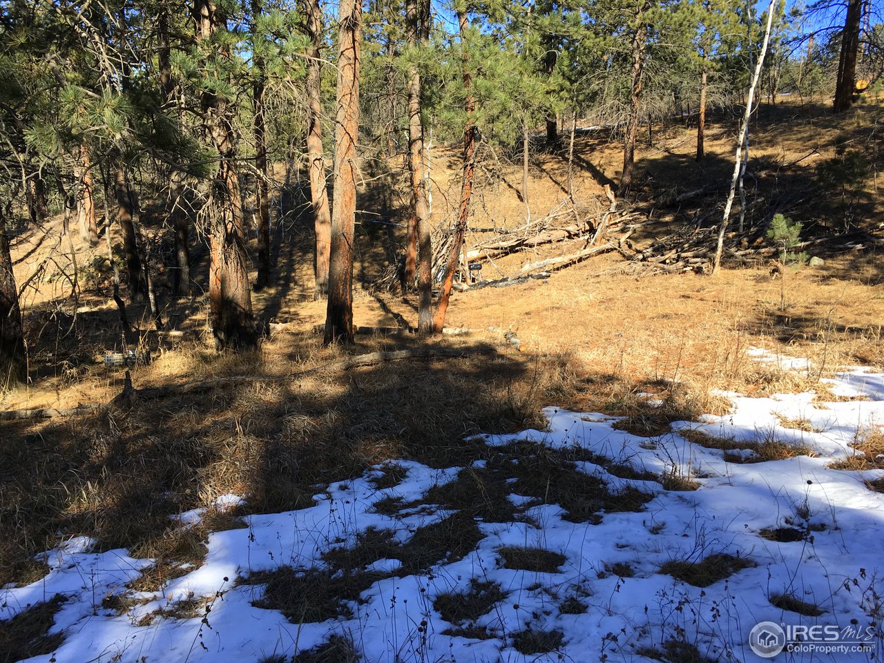 826 Davis Ranch Road Bellvue, CO 80512 - Photo 24 of 26 a view of a yard with snow on the road