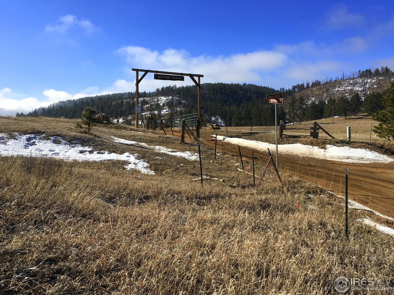 826 Davis Ranch Road Bellvue, CO 80512 - Photo 7 of 26 a view of a yard