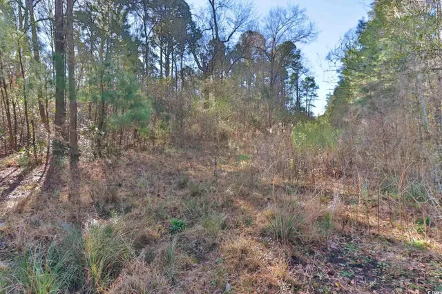 $150,000 | 4231 Roscoe Road, Myrtle Beach, SC 29588