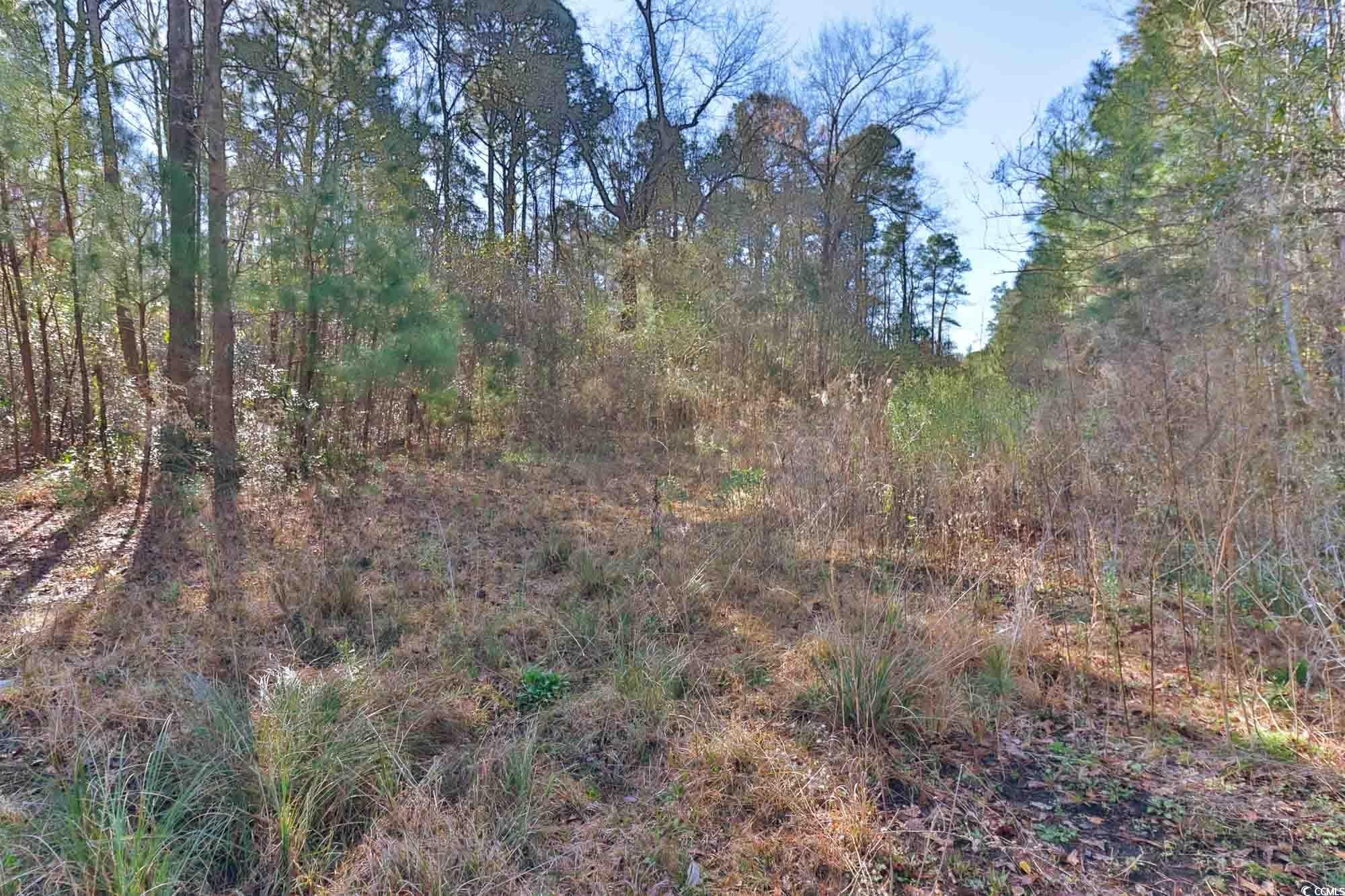 4231 Roscoe Road Myrtle Beach, SC 29588 - Photo 5 of 9 Gallery Image 5