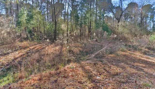 $150,000 | 4231 Roscoe Road, Myrtle Beach, SC 29588