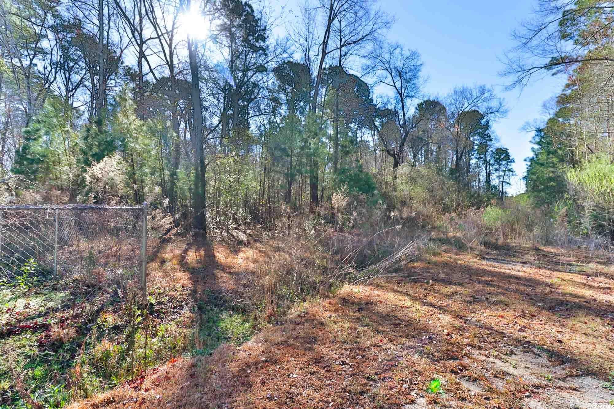 4231 Roscoe Road Myrtle Beach, SC 29588 - Photo 8 of 9 Gallery Image 8