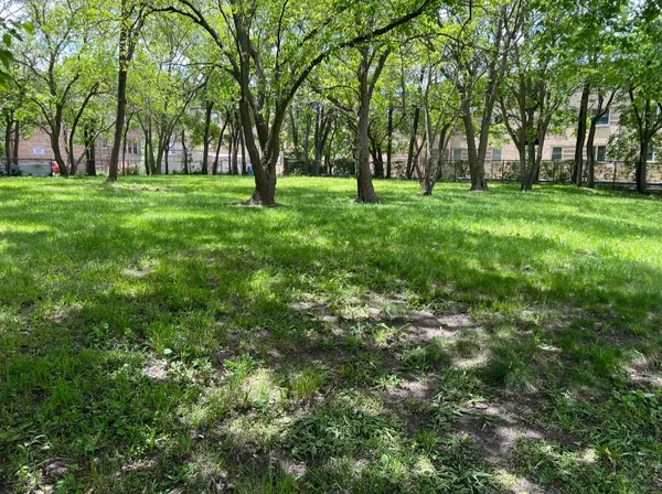 $195,000 | 2121 East 72nd Street, Chicago, IL 60649