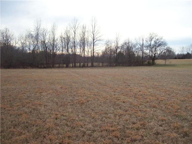 2889 She Boss Road Duck River, TN 38454 - Photo 20 of 20 Gallery Image 20
